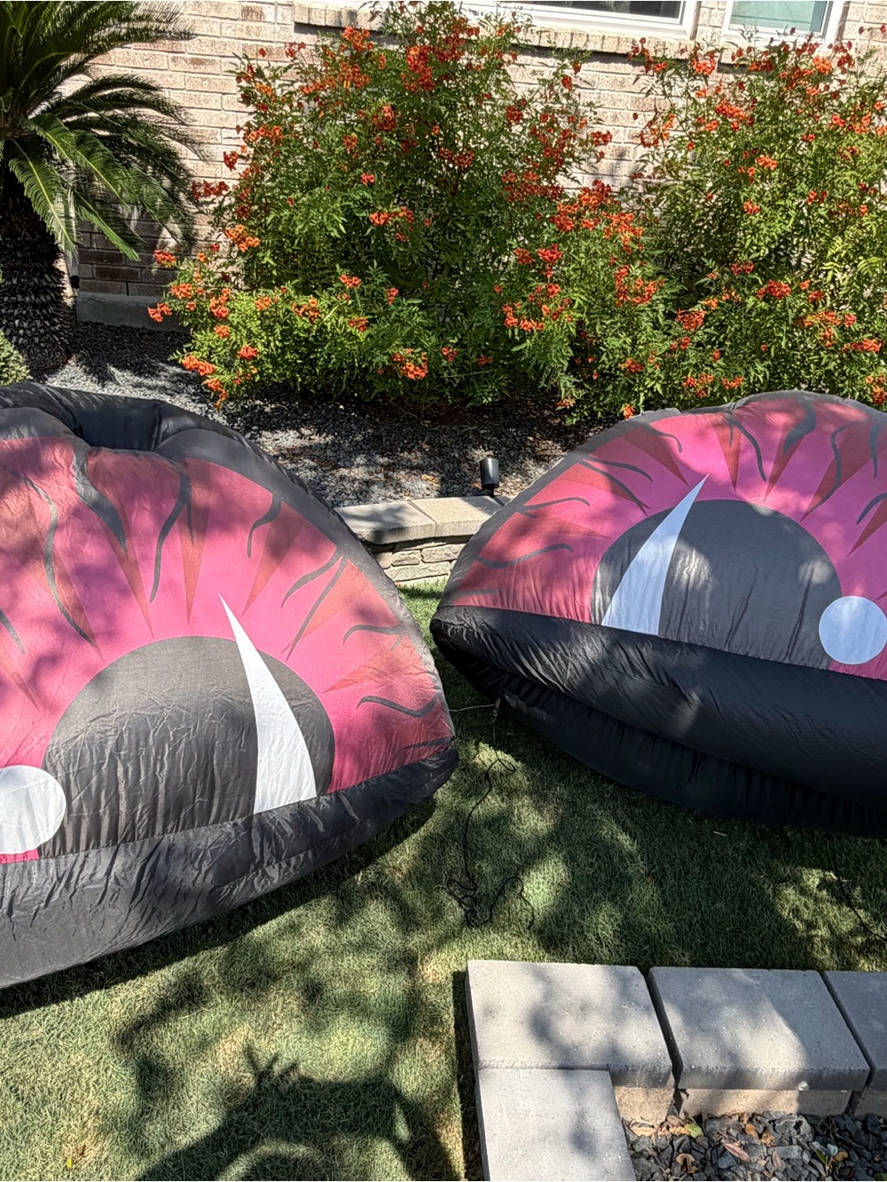 Inflatable Decorative Eye Duo - Black and Pink Party Accent